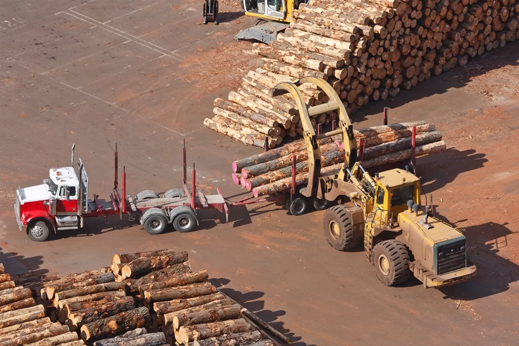 Logic Technologies - Forestry Communication Connectivity